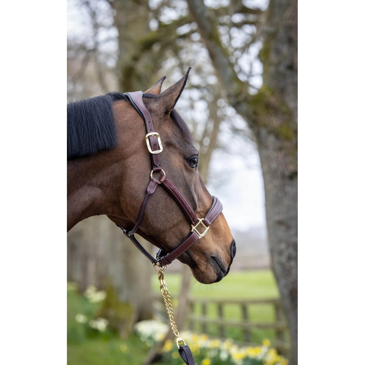 LeMieux Leather Stitched Headcollar β Brown 2 LeMieux Leather Stitched Headcollar β Brown - Image 2