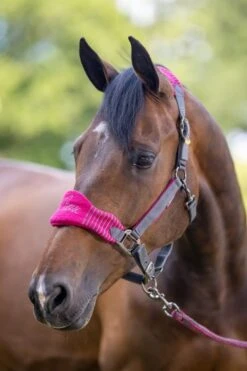 LeMieux Vogue Fleece Headcollar & Leadrope β Mulberry/Grey