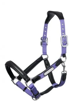 LeMieux Capella Headcollar – Bluebell