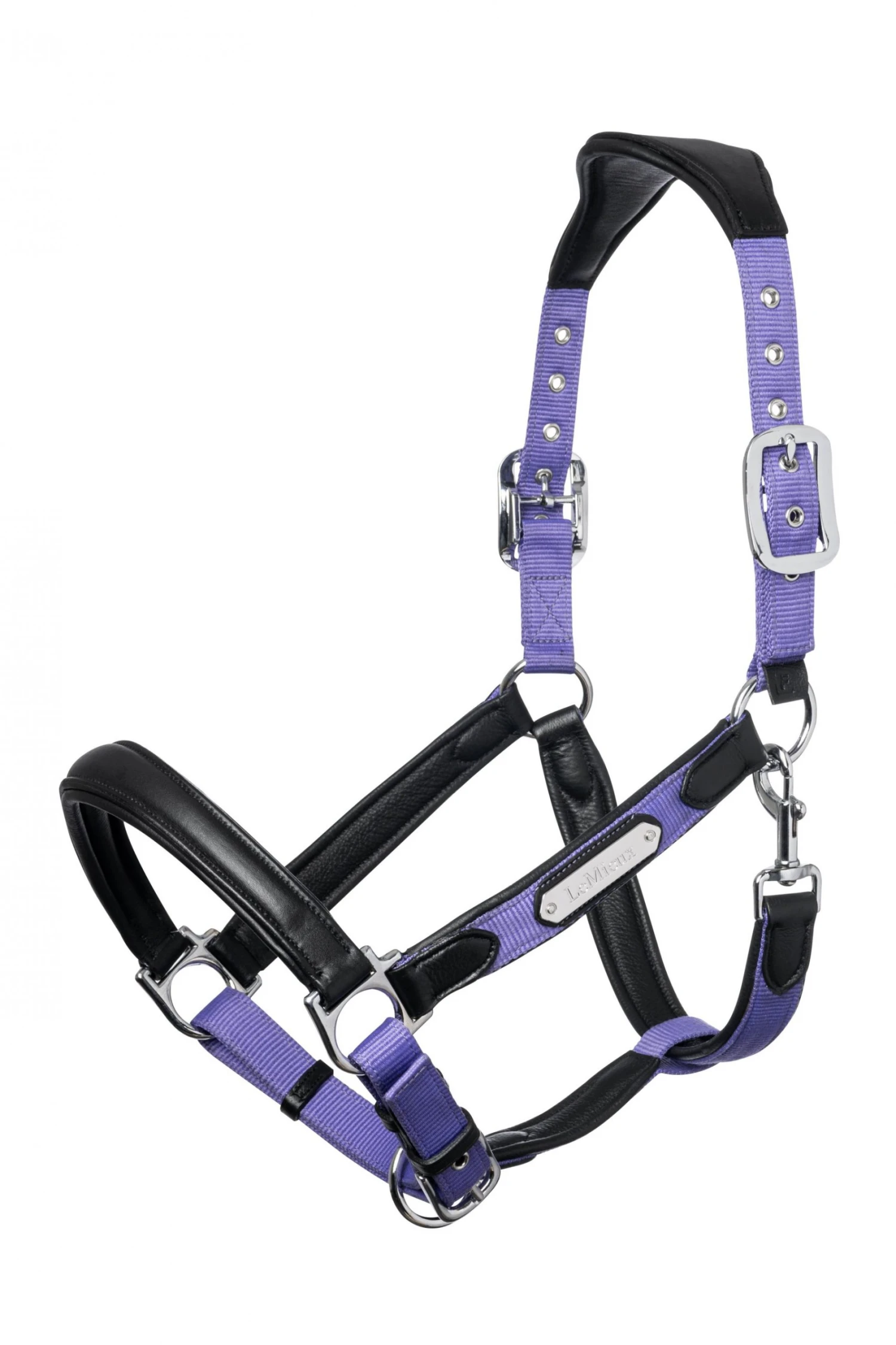 LeMieux Capella Headcollar – Bluebell 1 LeMieux Capella Headcollar – Bluebell