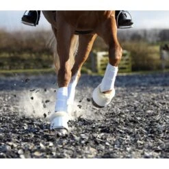 Le Mieux WrapRound Lambswool Over Reach Boots -Le Mieux 52c7ba2fd118b251aaca3c038cc7fae3.image .1200x1200