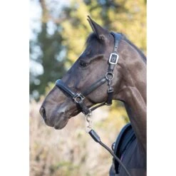 LeMieux Anatomic Leather Headcollar – Black