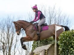 LeMieux Base Layer – Plum -Le Mieux 6b2028bddb888277f1515d4c4aafa7c8.image .743x550