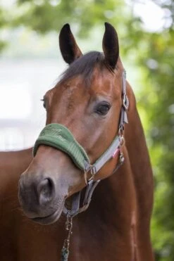 LeMieux Vogue Fleece Headcollar & Leadrope β Hunter Green