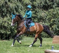 LeMieux Base Layer – Peacock -Le Mieux 84b709a42d320efb5bd620c1aede3f00.image .610x550