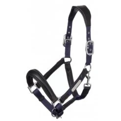 LeMieux Capella Headcollar – Navy