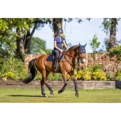 LeMieux Carbon Mesh Close Contact Square – Navy -Le Mieux 8f191465757d5783be9e6863151c1039.image .1200x1200