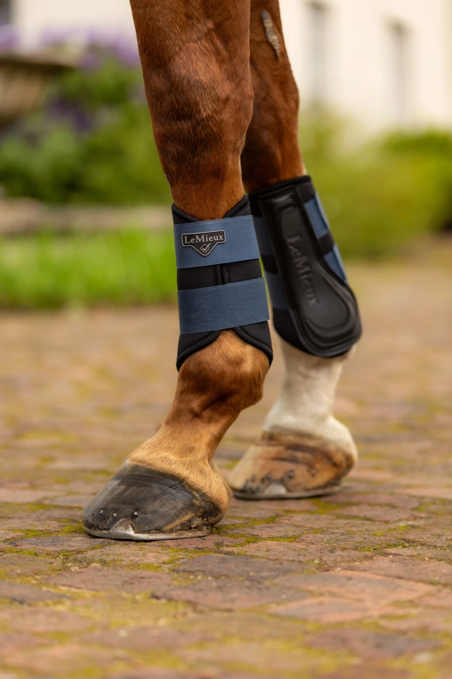 LeMieux Grafter Brushing Boots – Atlantic 2 LeMieux Grafter Brushing Boots – Atlantic - Image 2