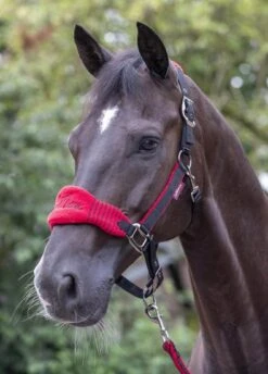 LeMieux Vogue Fleece Headcollar & Leadrope -Chilli/Black