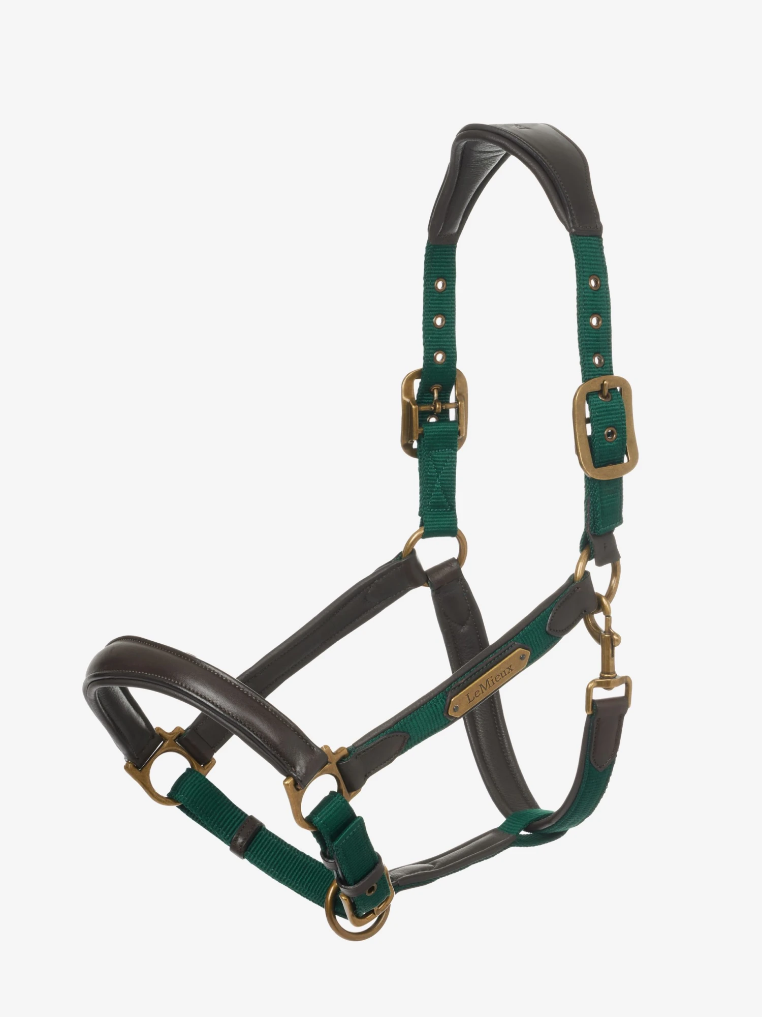 LeMieux Capella Headcollar – Spruce 1 LeMieux Capella Headcollar – Spruce