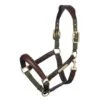 LeMieux Capella Headcollar – Moss