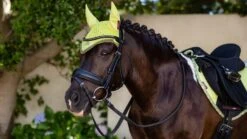 LeMieux Mini Fly Hood – Kiwi -Le Mieux fhkiwi2