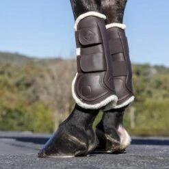 LeMieux Capella Comfort Tendon Boots