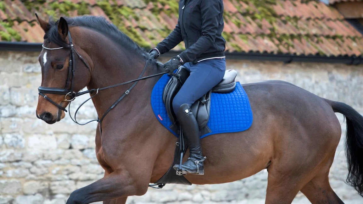 LeMieux Cotton Close Contact Square– BenettonBlue 2 LeMieux Cotton Close Contact Square– BenettonBlue - Image 2