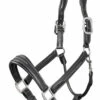 LeMieux Leather Stitched Headcollar – Black