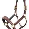 LeMieux Leather Stitched Headcollar – Brown