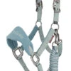 LeMieux Vogue Fleece Headcollar & Leadrope – Sage