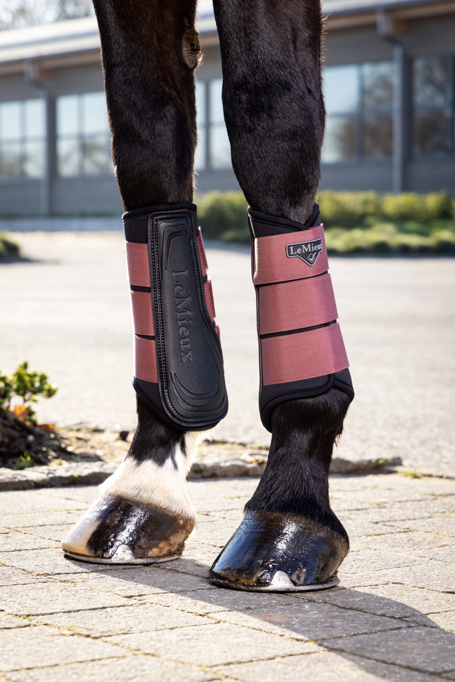 LeMieux Grafter Brushing Boots – Orchid 2 LeMieux Grafter Brushing Boots – Orchid - Image 2