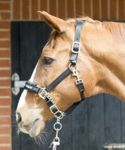 LeMieux ProSafe Headcollar