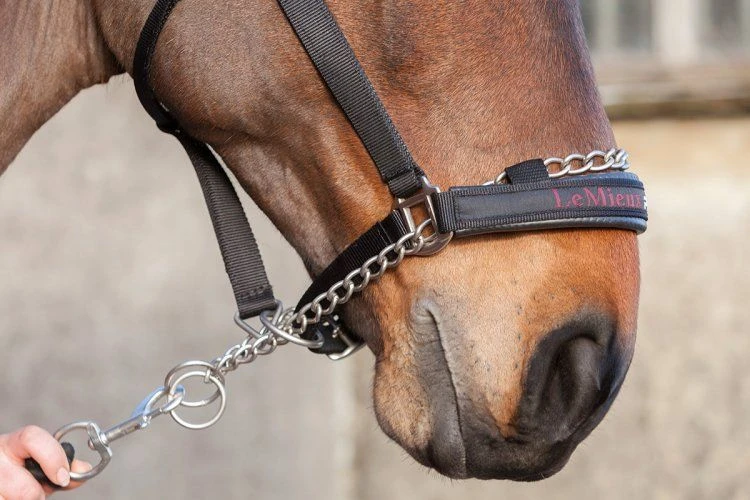 LeMieux ProSafe Headcollar 2 LeMieux ProSafe Headcollar - Image 2