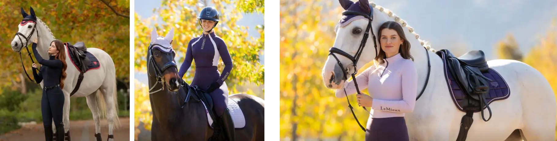 Le Mieux -Le Mieux tgyyu