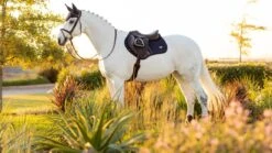 LeMieux Loire Close Contact Square – Navy -Le Mieux tracyrobertson april2021 049 1